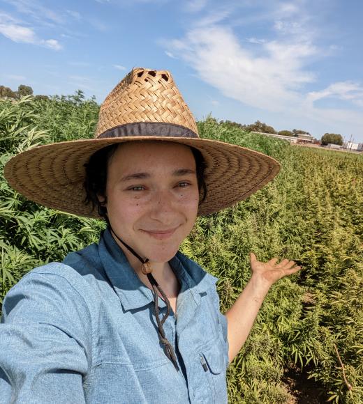 Picture of maya a white individual in a blue shirt and straw hat standing in a field of short hemp