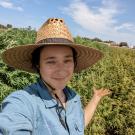 Picture of maya a white individual in a blue shirt and straw hat standing in a field of short hemp